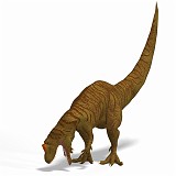 Allosaurus 04 A_0001